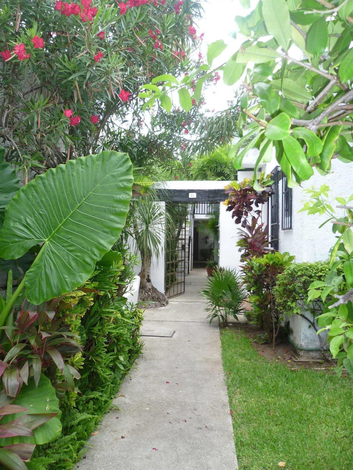 Hostal Haina Cancún Esterno foto