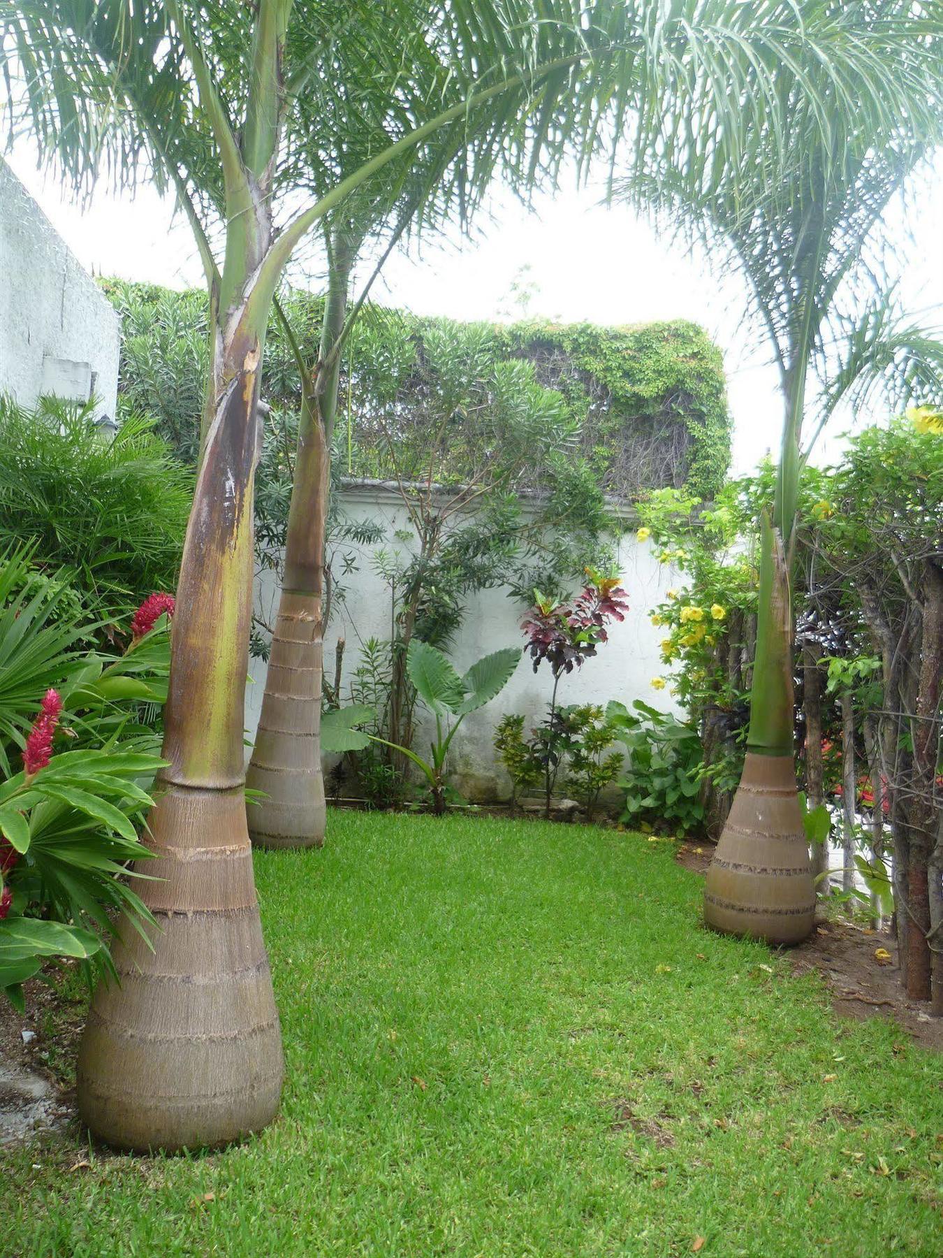 Hostal Haina Cancún Esterno foto